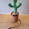 Zingende cactus